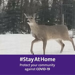 Meet your Posher, Keri